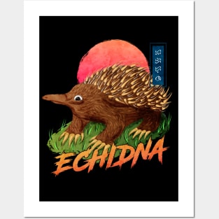 Echidna - Black Posters and Art